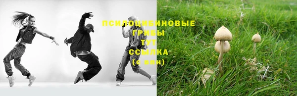 ешки Гусиноозёрск