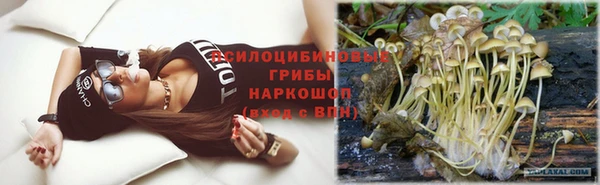 молекула духа Гусев