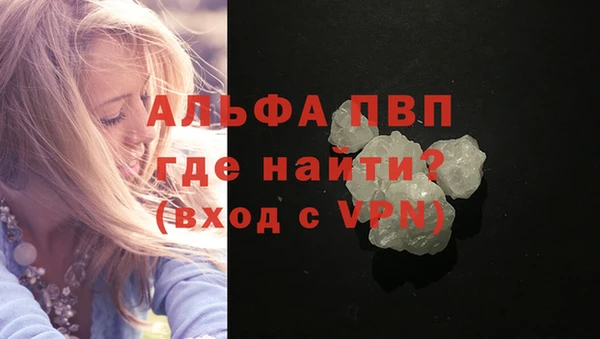 эйфоретик Гусь-Хрустальный