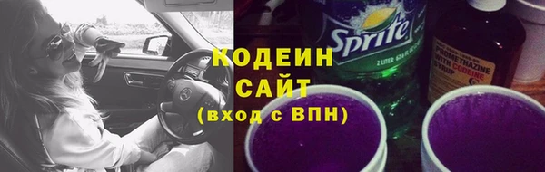 молекула духа Гусев
