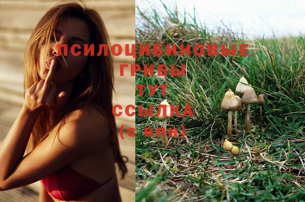 ешки Гусиноозёрск
