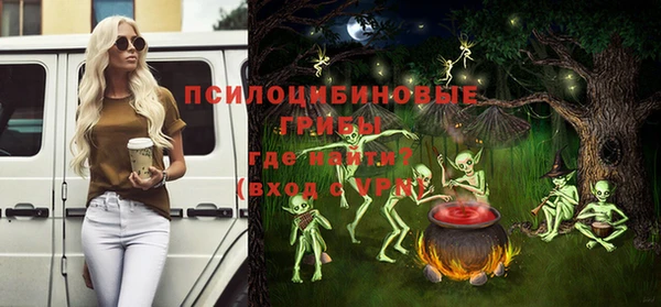 молекула духа Гусев