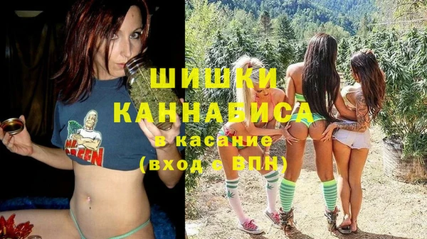 эйфоретик Гусь-Хрустальный