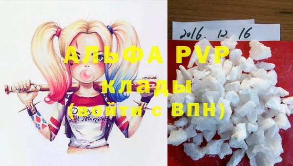 стаф Дмитров