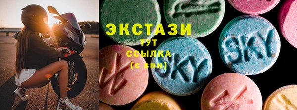 стаф Дмитров