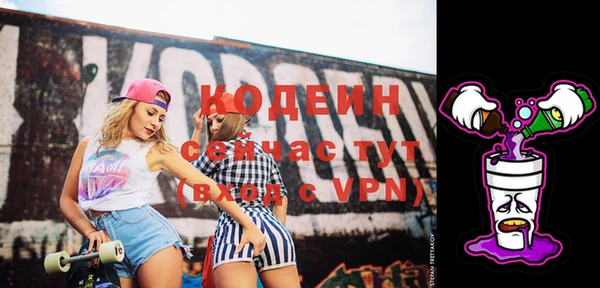 мдпв Елабуга