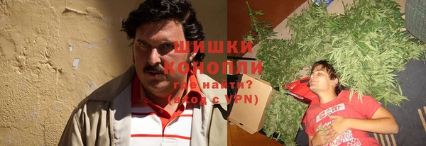 молекула духа Гусев