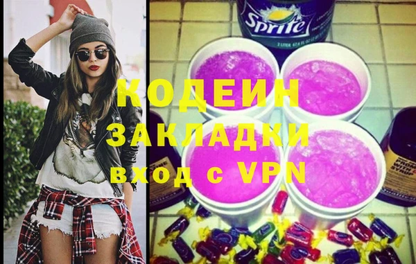 эйфоретик Гусь-Хрустальный