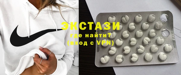 эйфоретик Гусь-Хрустальный